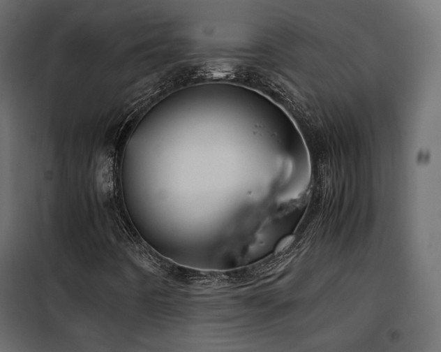 X0000102521442200808081416