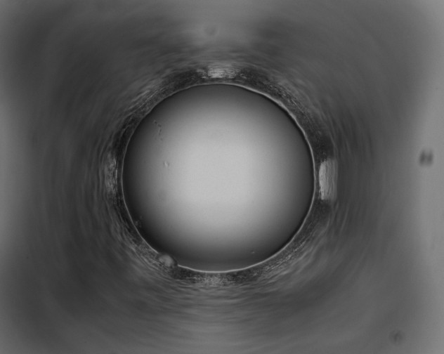 X0000102521443200808081416