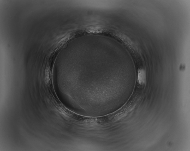 X0000102521444200808081416