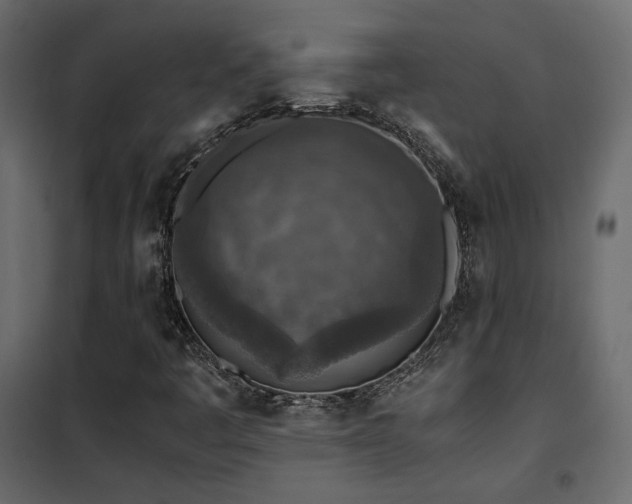 X0000102521445200808081416