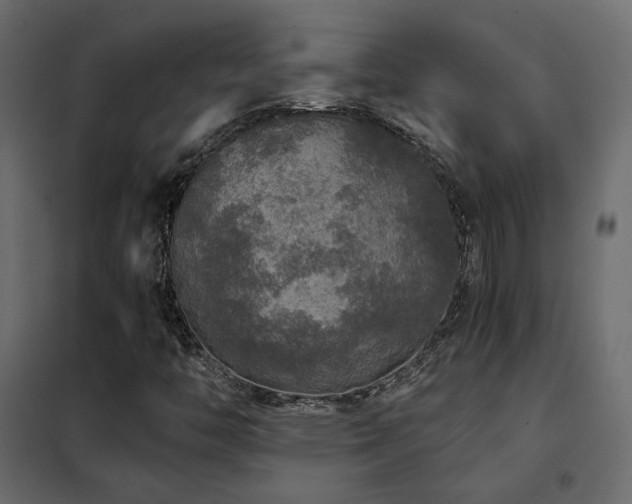 X0000102521446200808081416