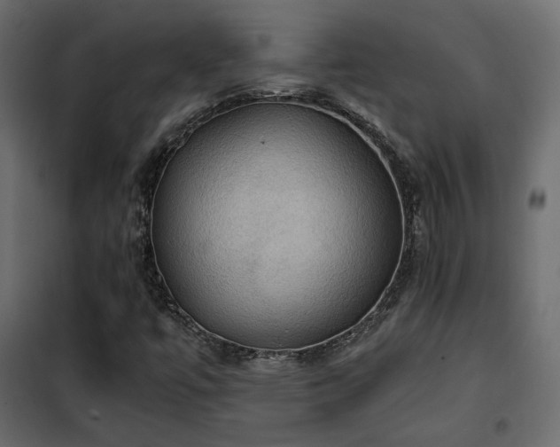 X0000102521447200808081416