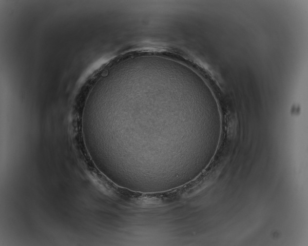 X0000102521448200808081416