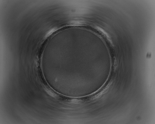 X0000102521449200808081416