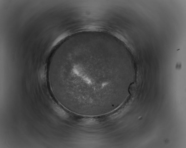 X0000102521450200808081416