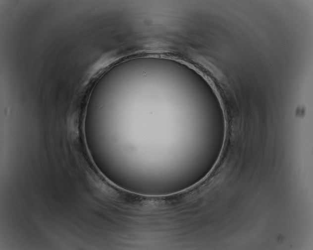 X0000102521451200808081416