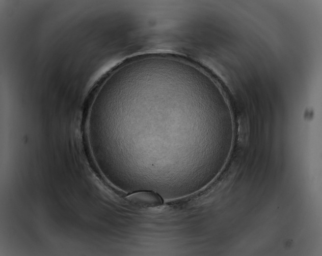 X0000102521452200808081416