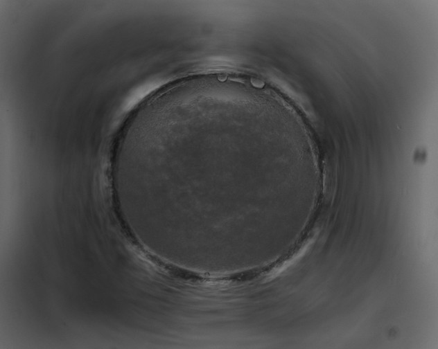 X0000102521453200808081416