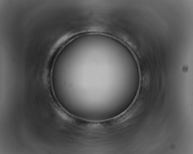 X0000102521454200808081416