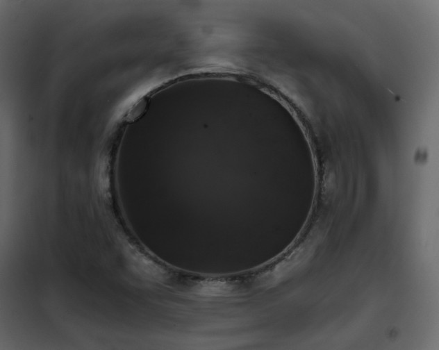 X0000102521455200808081416