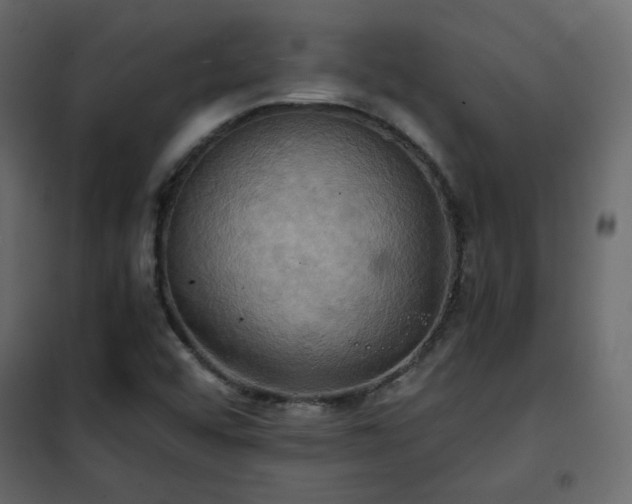 X0000102521456200808081416