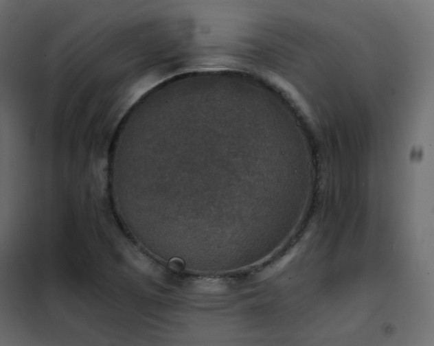 X0000102521457200808081416