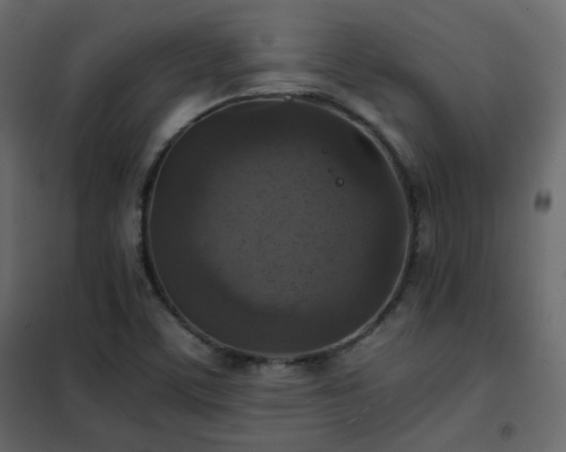 X0000102521459200808081416