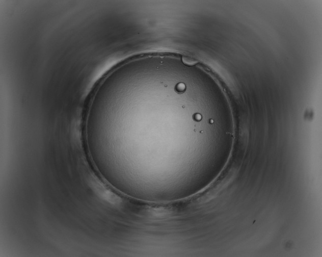 X0000102521460200808081416