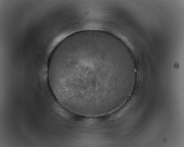 X0000102521461200808081416