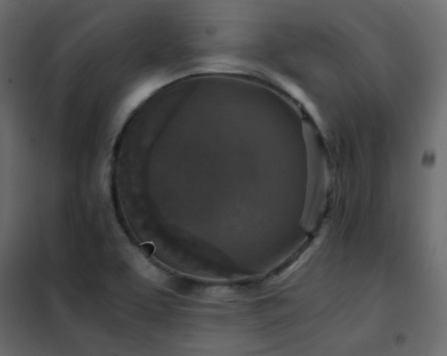 X0000102521463200808081416