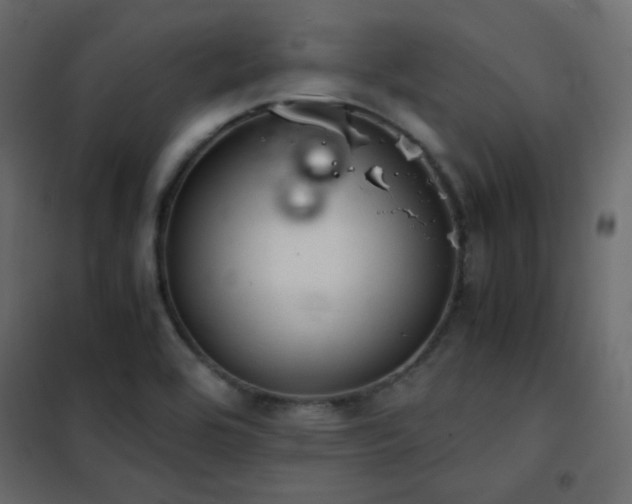 X0000102521464200808081416