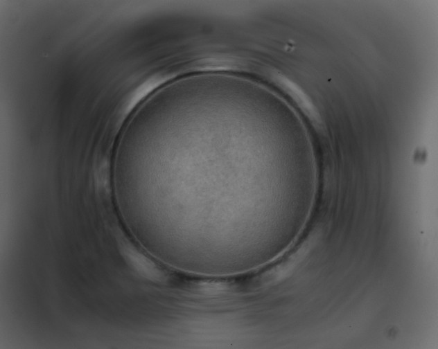 X0000102521465200808081416