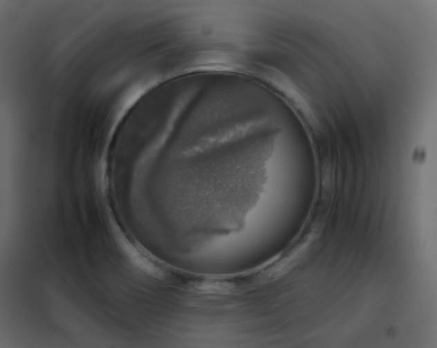 X0000102521466200808081416