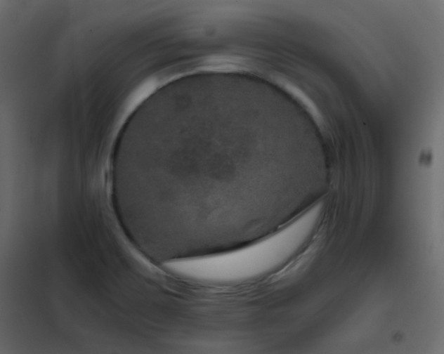 X0000102521467200808081416