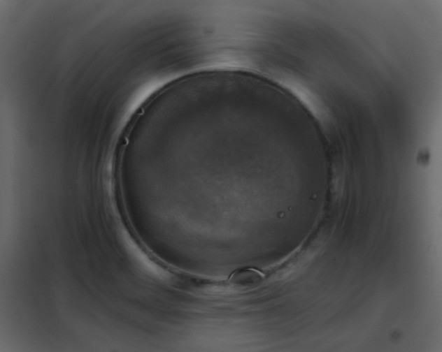 X0000102521468200808081416