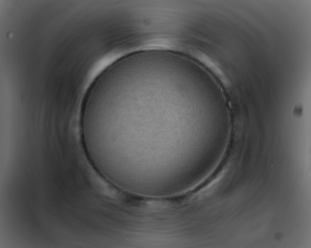 X0000102521469200808081416