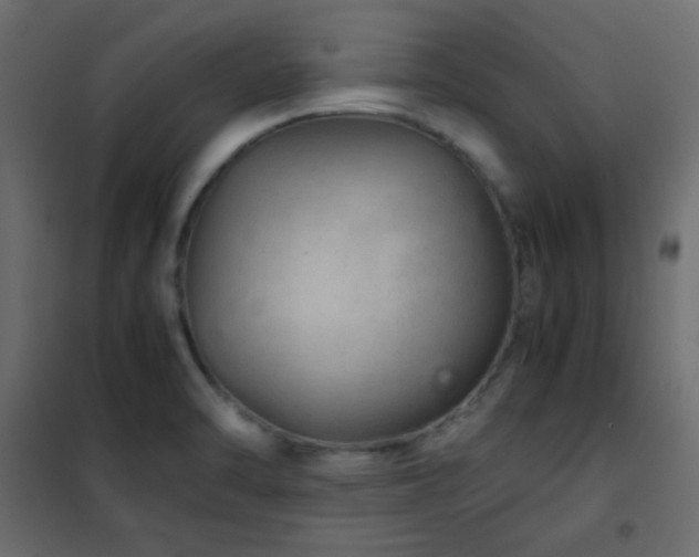 X0000102521470200808081416