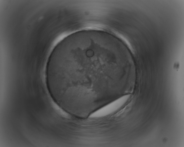 X0000102521471200808081416