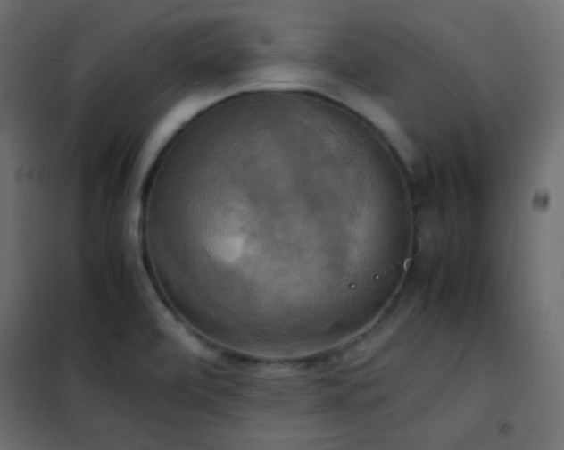 X0000102521472200808081416