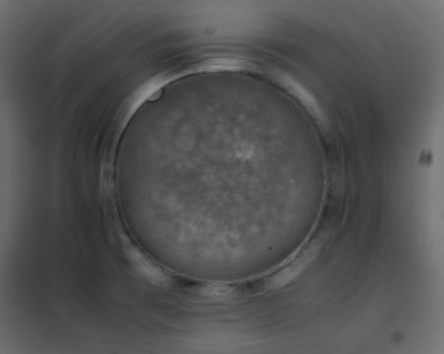 X0000102521473200808081416