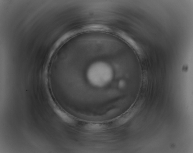 X0000102521474200808081416