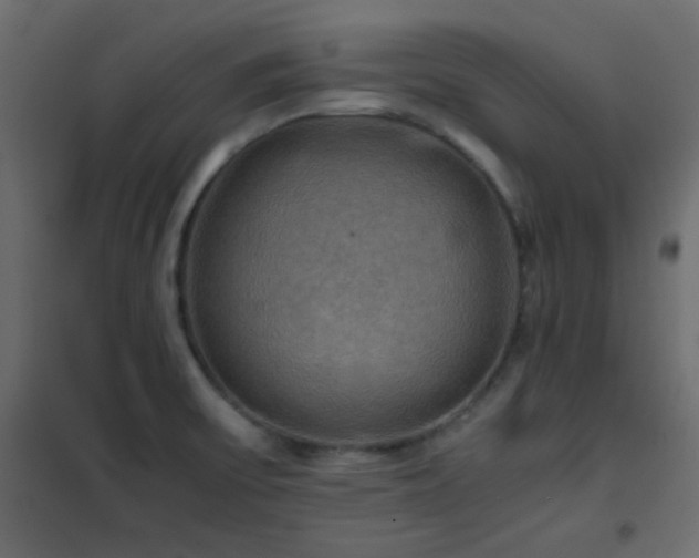 X0000102521475200808081416