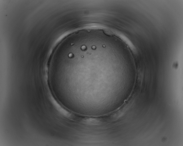 X0000102521476200808081416