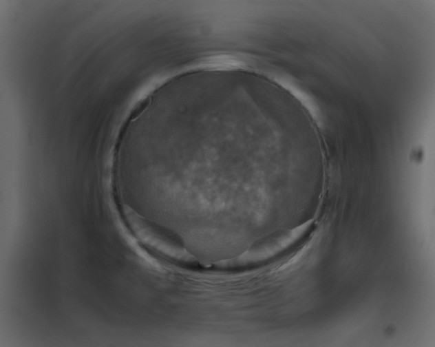 X0000102521477200808081416