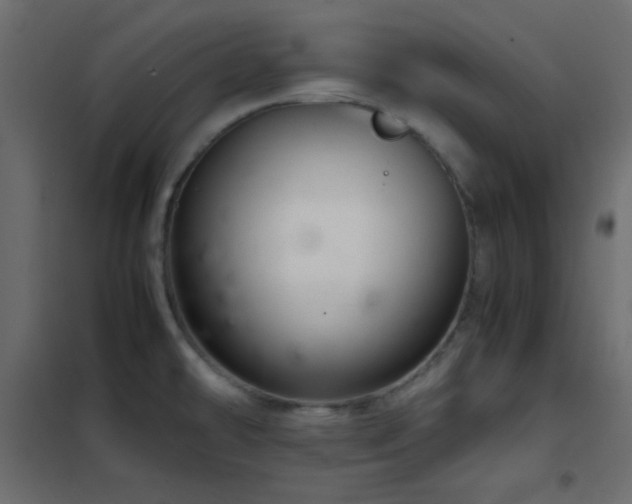 X0000102521478200808081416