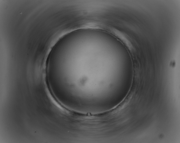 X0000102521479200808081416