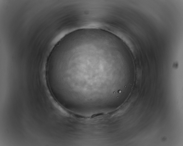 X0000102521480200808081416