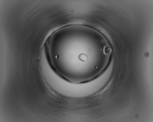 X0000102521481200808081416