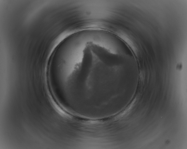 X0000102521482200808081416