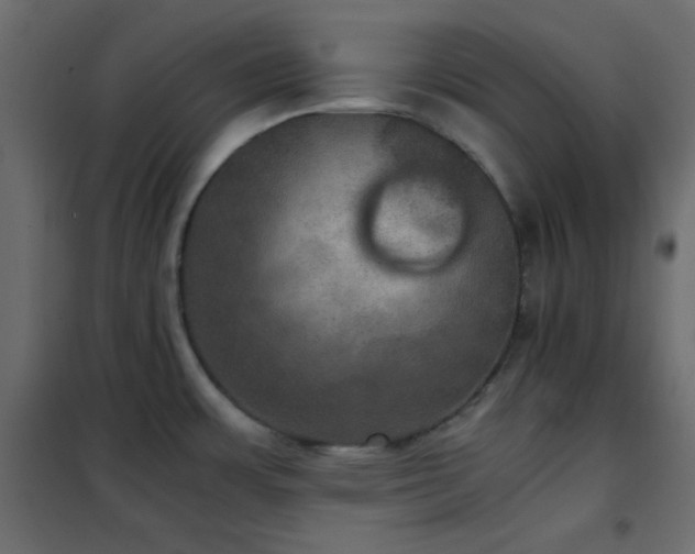 X0000102521483200808081416