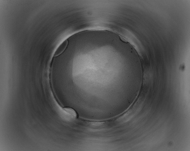 X0000102521484200808081416