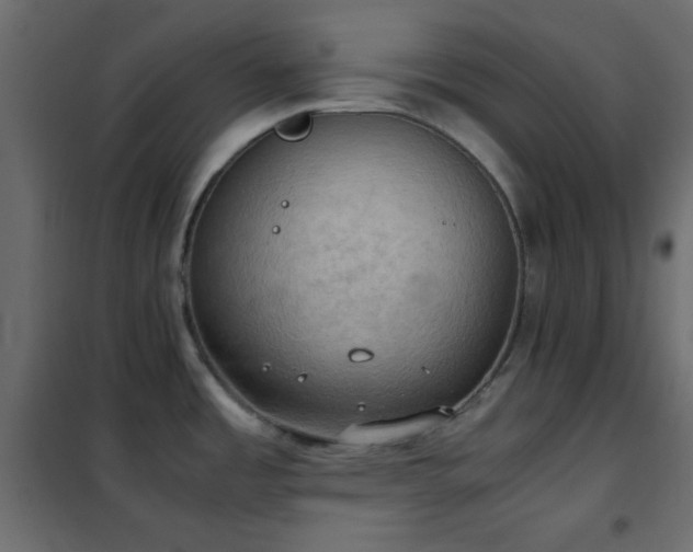 X0000102521485200808081416