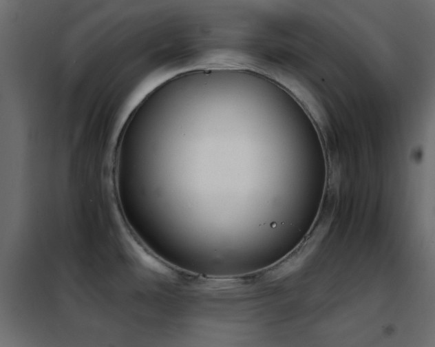 X0000102521486200808081416