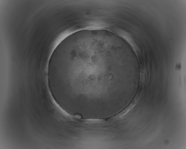 X0000102521487200808081416