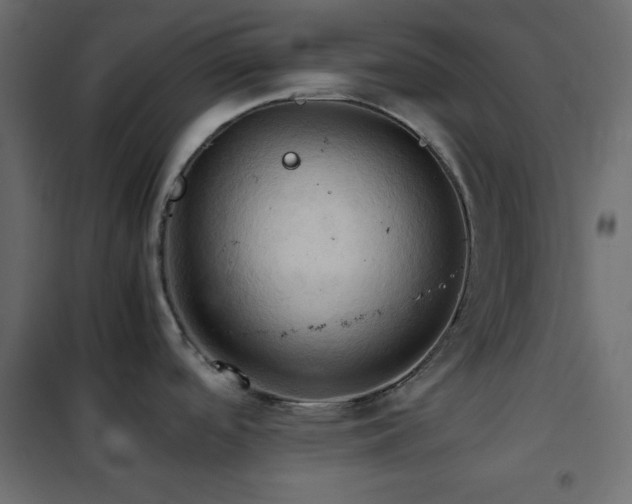 X0000102521488200808081416