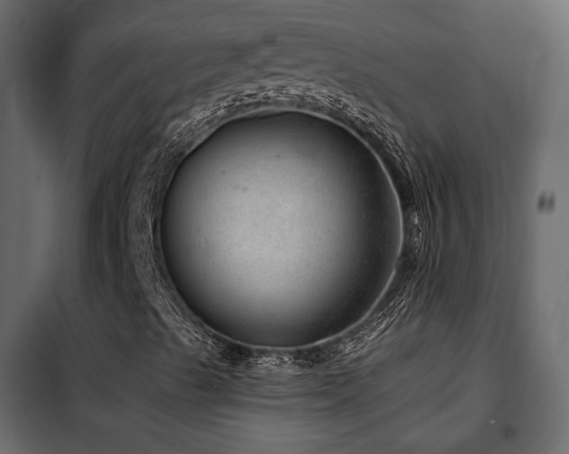 X0000102521489200808081415