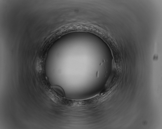 X0000102521490200808081415