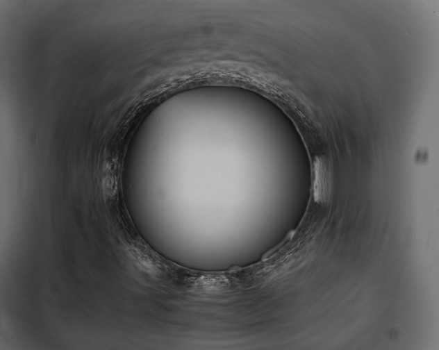 X0000102521491200808081415