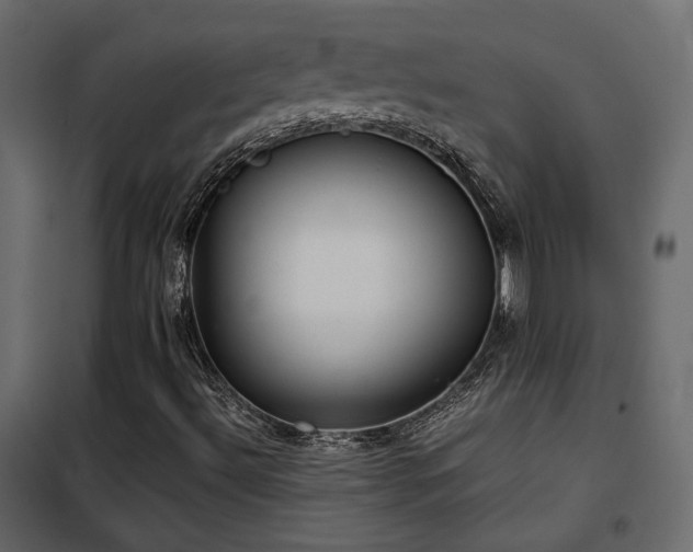 X0000102521492200808081415