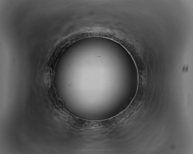 X0000102521493200808081415